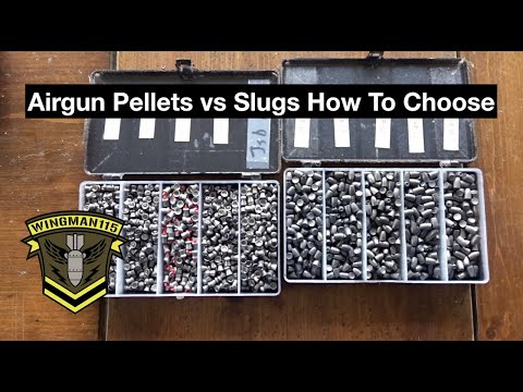 Airgun Pellets vs Slugs How To Choose