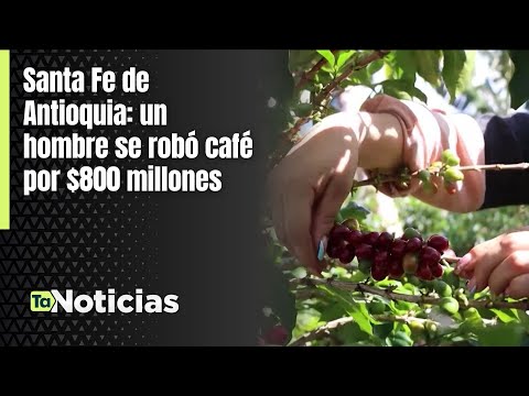 Santa Fe de Antioquia: un hombre se robó café por $800 millones - Teleantioquia Noticias