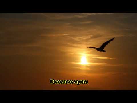 Gladiador - Now We Are Free - (Tradução/Letra)