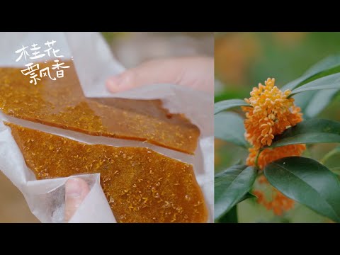 金桂飄香