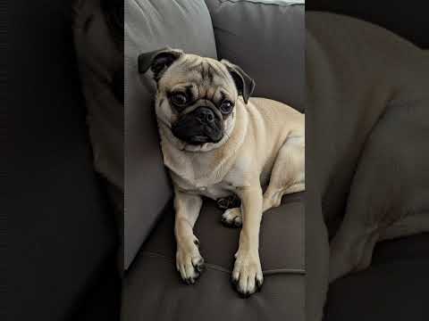 14 de septiembre de 2025