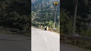 Download lagu Tu Is Tarah Se Meri Zindagi with lyrics |तMohd Rafi |Aap To Aise Na The |HD Song#nature#travel mp3 Download lagu Tu Is Tarah Se Meri Zindagi with lyrics |तMohd Rafi |Aap To Aise Na The |HD Song#nature#travel mp3