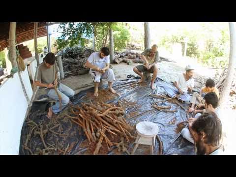 Feitio do Santo Daime 2011 - Flor da Canoa