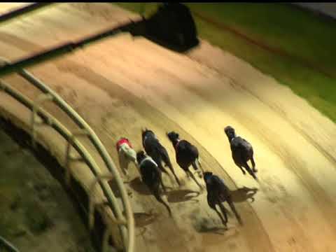 2017 CORAL OLYMPIC FINAL - T3 BRUISERS BULLET