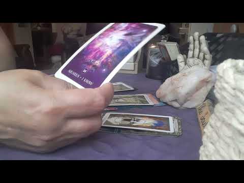 THE SOUL POOL DAILY TAROT 11/5/2022 #astraldj #psychic #daily #tarot #astrology