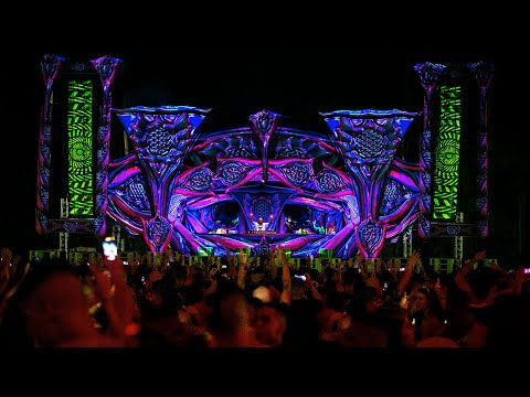 Rabbit @ Flor da Vida (Full Set Video)