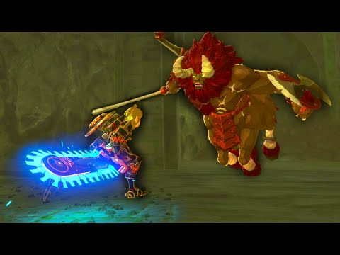 This Breath of the Wild Challenge is Brutally Difficult...