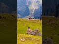 Apni Palko Me Mujhko Chupaya Hai