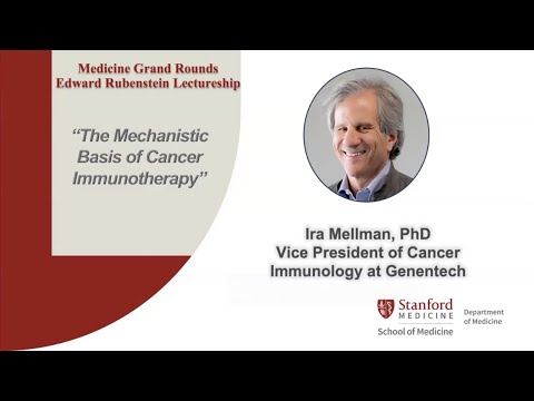 "The mechanistic basis of cancer immunotherapy" | 30 October 2024