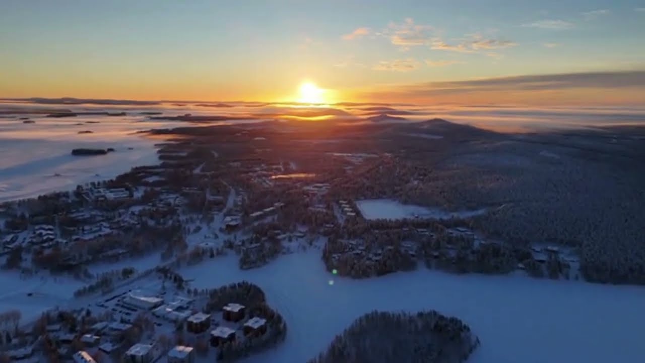 Winter Wonderland: Snow-Covered Trees in a Magical Scene