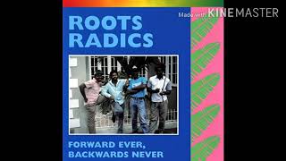 Roots Radics - Private enemy