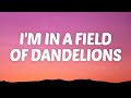Ruth B Dandelions Lyrics I M In A Field Of Dandelions