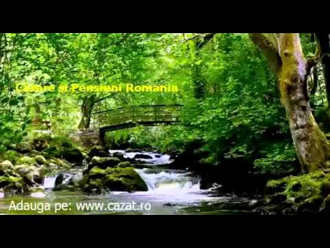 Cazare Pojaru, Gorj - Cazat.ro