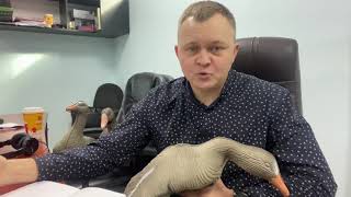 Комитет по охоте и рыболовству саратовской области