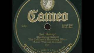 California Humming Birds - Hot Henry!