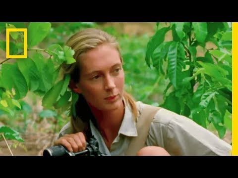 First Look at Jane | National Geographic