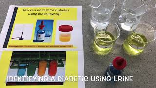 B5 Identifying a Diabetic using Urine