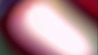 Katja Šulc - Twisted Delight