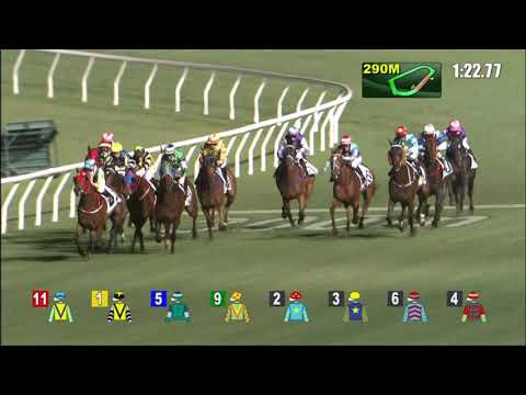 14/4/2021 (589) Cheerful Days -  J Moreira