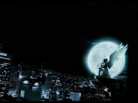 MSR X PESTEK - JESTEM MŁODY