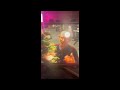 Meat And Potatoes - Live Piano (Belle & Sebastion)