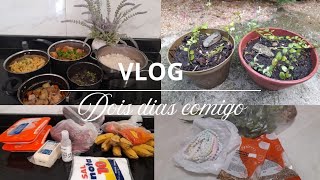 VLOG DOMINGO FEIRA/SEGUNDA-FEIRA MANHÃ PRODUTIVA /GANHEI PLANTA ALMOÇO 