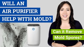 Will an Air Purifier Help with Mold? (Can it Remove Mold Spo