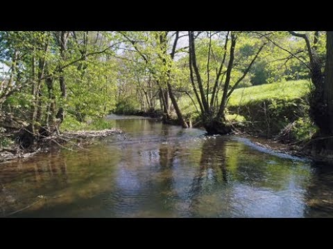 Ein Fluss in fünf Akten - Hinter den Kulissen der Ahr | Fahr mal hin | SWR Fernsehen