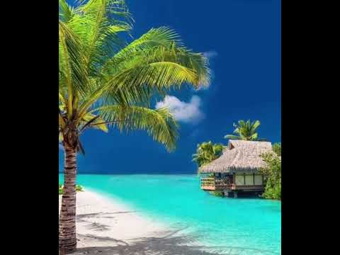 Repost Fijian 🇫🇯 Lewa  by Kuki, Conkarah, Canaan Ene