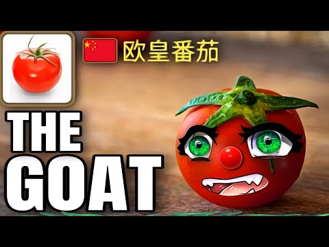 🍅 Tomato's first fight this Season. - Summoners War