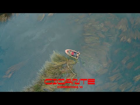 El Plan de la Mariposa - Gigante (álbum Correntada)