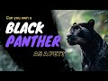 Can you own a black panther as a pet? #blackpanther