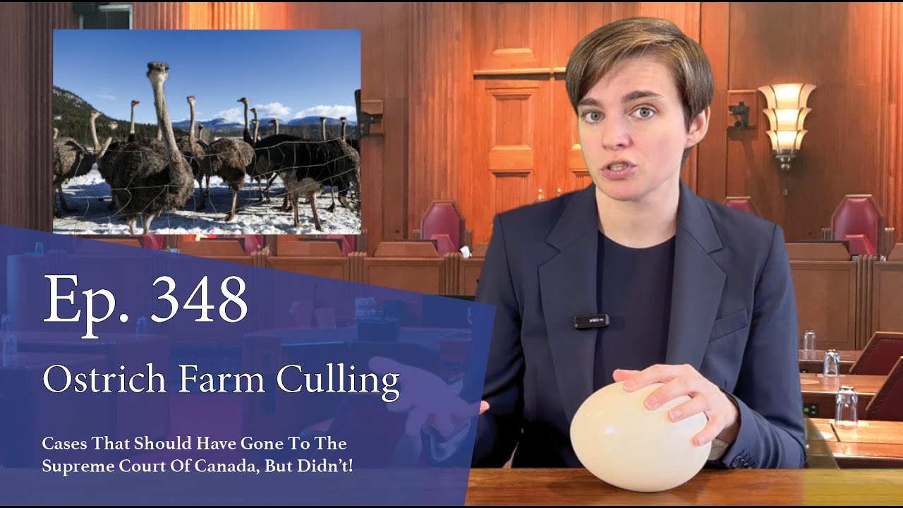 Ostrich Farm Culling: Cases That Should Have Gone to the Supreme Court of Canada, But Didn’t!