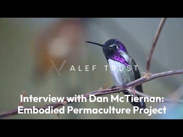 Inside the Embodied Permaculture Project with Dan McTiernan