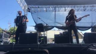 Birds Do It- KONGOS- Live at SF Oysterfest (July 1, 2017)