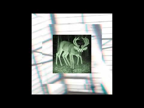 [SOLD] BreakBeat x Electro Punk x Nascar Aloe Type Beat - ‘ALLIGATOR’