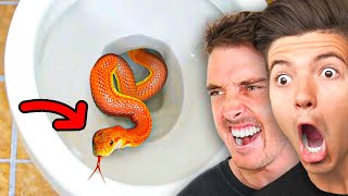 LUCKIEST vs UNLUCKIEST People On The Internet ft. LazarBeam!