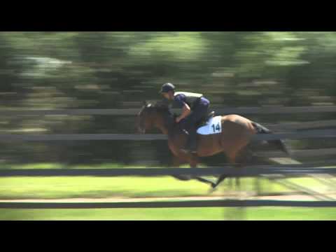 Lot 14 - Springbok Seia - H13 - Saddler Maker - Amaseia