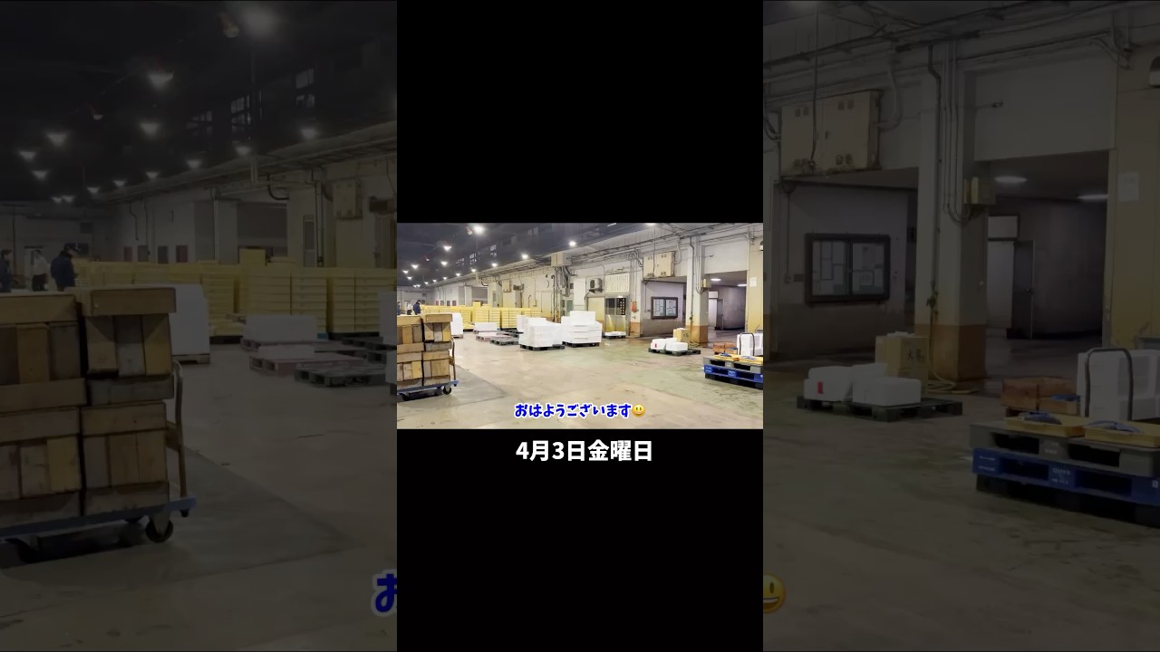 今朝の魚市場4月3日金曜日の水揚げ速報#shorts