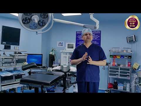 World IVF Day - Basic cost of an IVF treatment package | Indira IVF