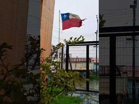 NIEVE EN NOVIEMBRE, PRIMAVERA EN PUERTO WILLIAMS #asmr #chile #magallanes #travel #simplelife