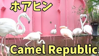 ホアヒン観光 キャメルリパブリック Sony FDR-X3000 4K