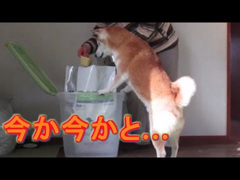 download lagu mp3 mp4 今 か 今 かと, download lagu 今 か 今 かと gratis, unduh video klip 今 か 今 かと
