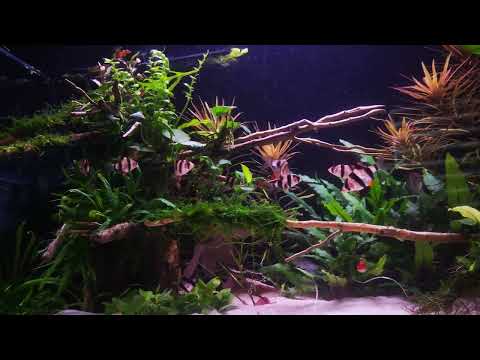 Powoli i bezproblemowo. Polubiłem ten zbiornik