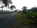 Dragbike Purwokerto Fiz Vs Fiz 2 Jutaan