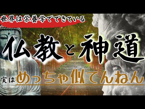 臨床検査学科 【結局神道ってなに？】知ってるようで知りきれていない「神道」について全て教えます【世界は栄養学でできている 第二弾】　＃栄養学　＃岩崎真宏　＃仏教　＃神道