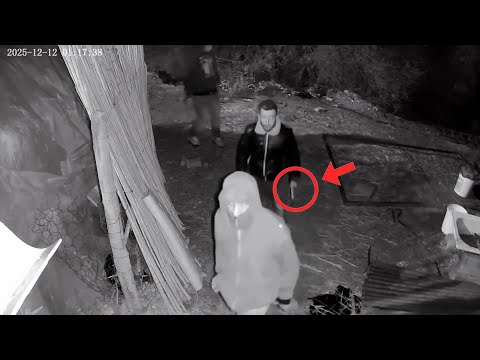 17 Sheep STOLEN! You Won't Believe How They Did It