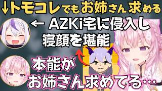 トモコレでラプちゃんを作って遊ぶこよちゃんが面白すぎたw【博衣こより 切り抜き／ホロライブ】