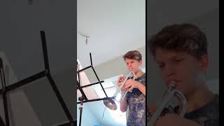 Světové a české koledy - Marie Sommerová