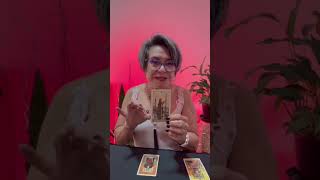 TAROT 15 a 21 dez. - Clareza e Organização